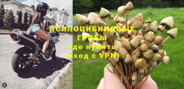 spice Абинск
