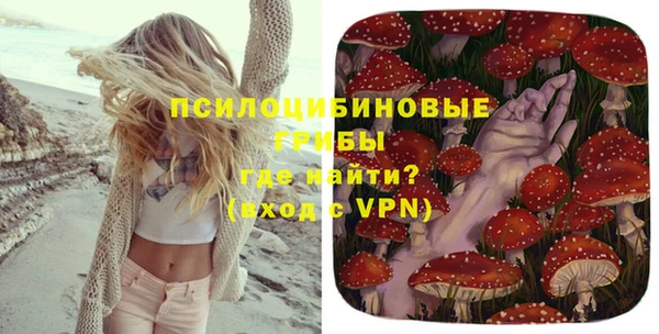 альфа пвп Дмитровск