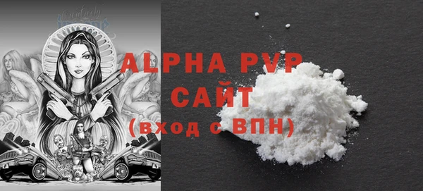 стафф Алексин