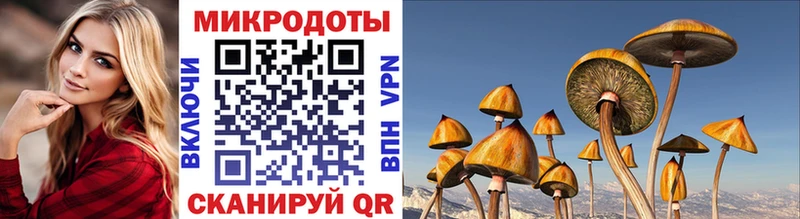 Псилоцибиновые грибы GOLDEN TEACHER  ОМГ ОМГ   Лермонтов 